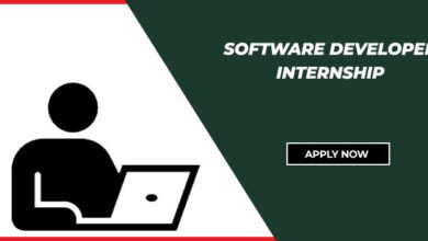 Software Developer Internship